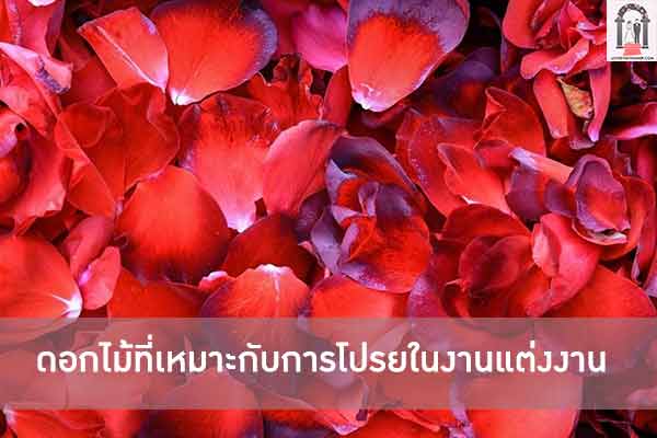 ดอกไม้ที่เหมาะกับการโปรยในงานแต่งงาน
