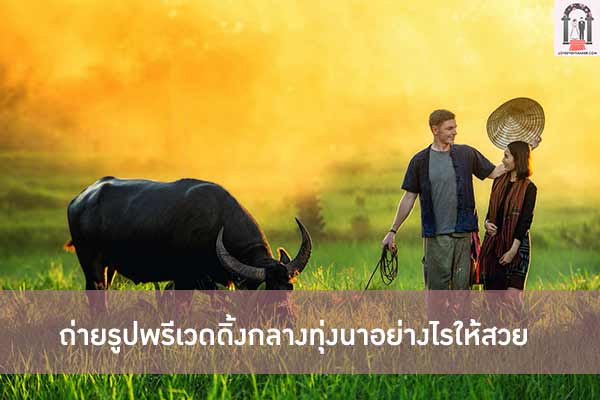 ถ่ายรูปพรีเวดดิ้งกลางทุ่งนาอย่างไรให้สวย